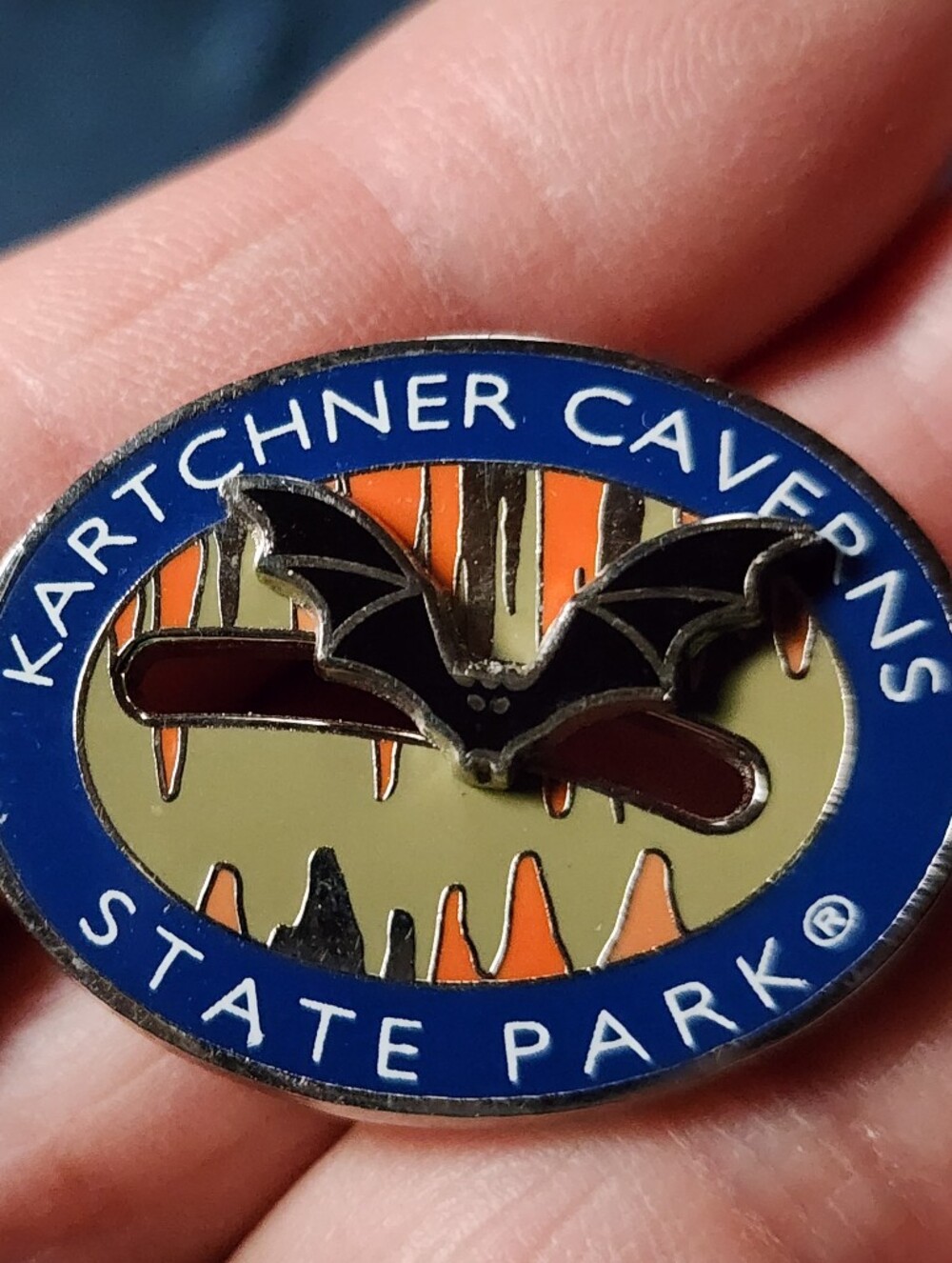 Kartchner Caverns State Park Bat Pin